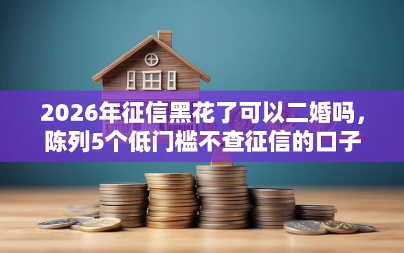 2026年征信黑花了可以二婚吗,陈列5个低门槛不查征信的口子 2026年征信黑花了可以二婚吗,陈列5个低门槛不查征信的口子