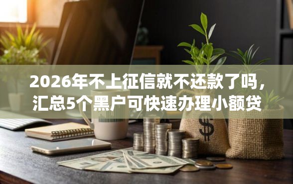 2026年不上征信就不还款了吗，汇总5个黑户可快速办理小额贷款业务的app