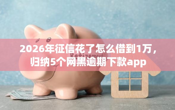 2026年征信花了怎么借到1万，归纳5个网黑逾期下款app