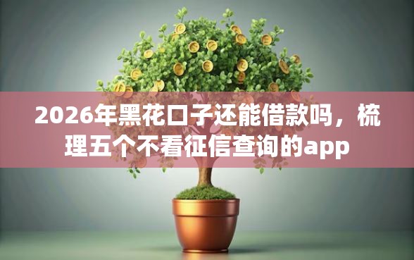 2026年黑花口子还能借款吗，梳理五个不看征信查询的app