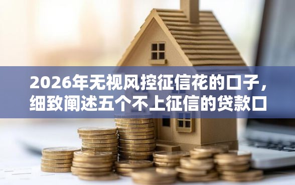 2026年无视风控征信花的口子，细致阐述五个不上征信的贷款口子