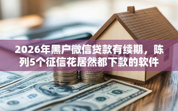 2026年黑户微信贷款有续期，陈列5个征信花居然都下款的软件