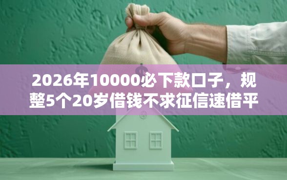 2026年10000必下款口子，规整5个20岁借钱不求征信速借平台