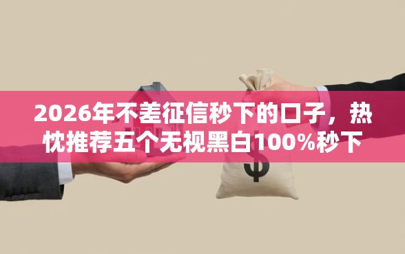 2026年不差征信秒下的口子，热忱推荐五个无视黑白100%秒下网贷小额夜间口子