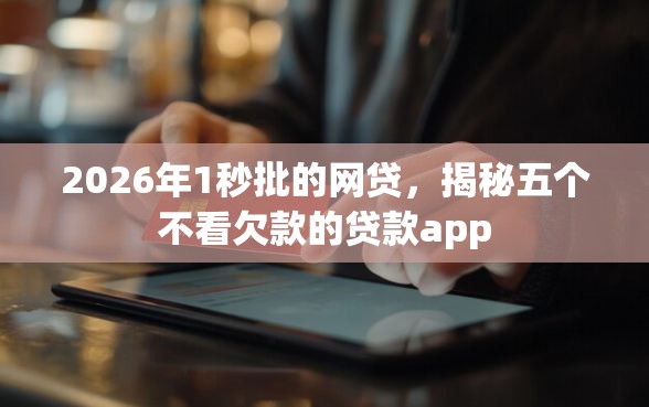 2026年1秒批的网贷，揭秘五个不看欠款的贷款app