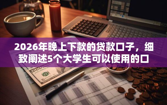 2026年晚上下款的贷款口子，细致阐述5个大学生可以使用的口子