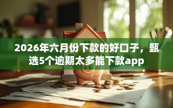 2026年六月份下款的好口子，甄选5个逾期太多能下款app