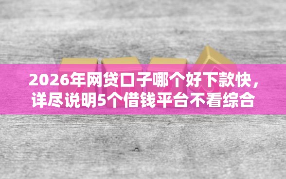 2026年网贷口子哪个好下款快，详尽说明5个借钱平台不看综合评估的平台