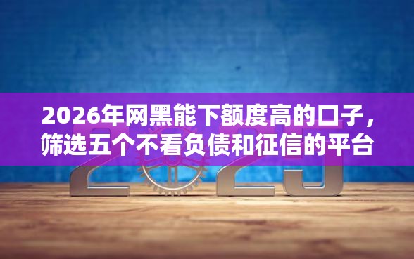 2026年网黑能下额度高的口子，筛选五个不看负债和征信的平台