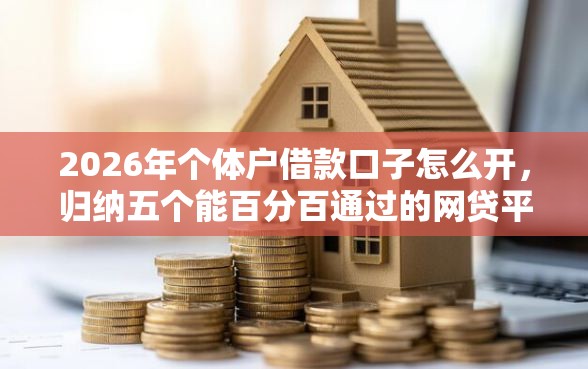 2026年个体户借款口子怎么开，归纳五个能百分百通过的网贷平台
