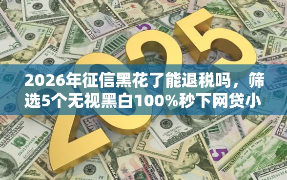 2026年征信黑花了能退税吗，筛选5个无视黑白100%秒下网贷小额夜间口子
