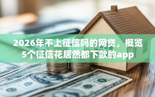 2026年不上征信吗的网贷,概览5个征信花居然都下款的app 2026年不上征信吗的网贷,概览5个征信花居然都下款的app