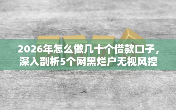 2026年怎么做几十个借款口子，深入剖析5个网黑烂户无视风控口子