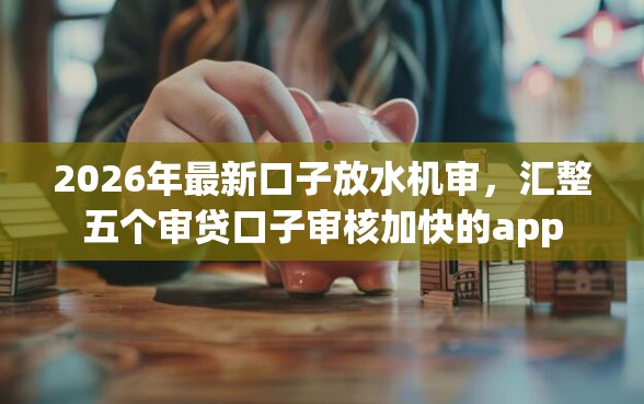 2026年最新口子放水机审，汇整五个审贷口子审核加快的app