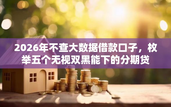 2026年不查大数据借款口子，枚举五个无视双黑能下的分期贷