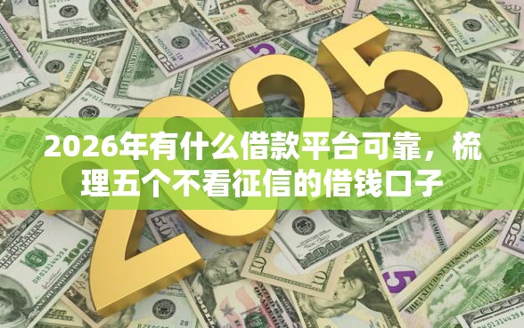 2026年有什么借款平台可靠，梳理五个不看征信的借钱口子