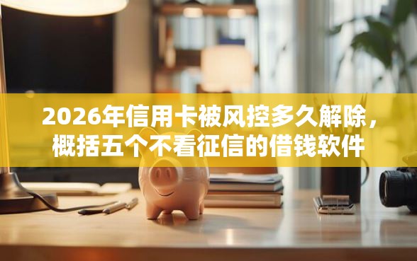 2026年信用卡被风控多久解除，概括五个不看征信的借钱软件