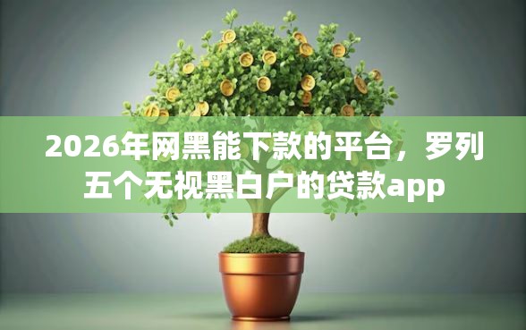 2026年网黑能下款的平台，罗列五个无视黑白户的贷款app