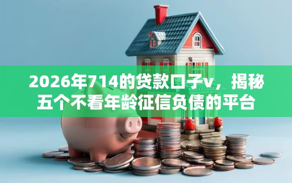 2026年714的贷款口子v，揭秘五个不看年龄征信负债的平台