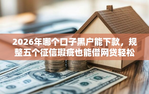 2026年哪个口子黑户能下款，规整五个征信瑕疵也能借网贷轻松下款的软件