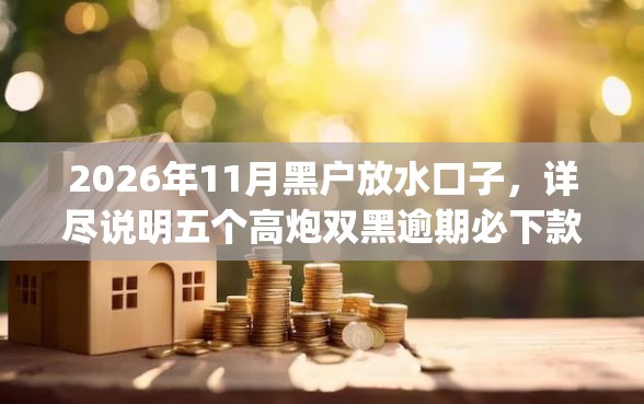 2026年11月黑户放水口子，详尽说明五个高炮双黑逾期必下款app