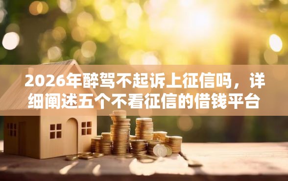 2026年醉驾不起诉上征信吗，详细阐述五个不看征信的借钱平台