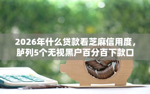 2026年什么贷款看芝麻信用度，胪列5个无视黑户百分百下款口子