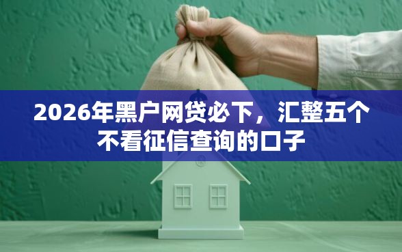2026年黑户网贷必下，汇整五个不看征信查询的口子