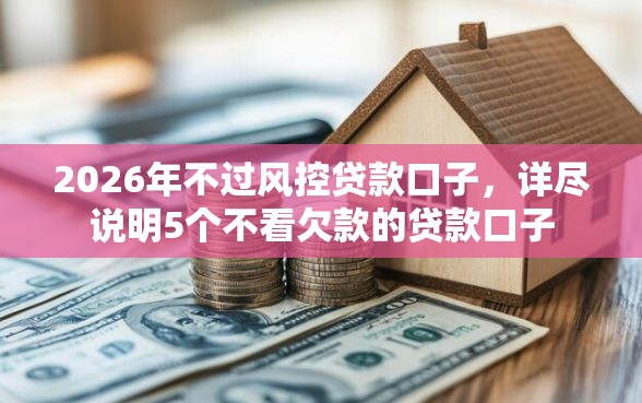 2026年不过风控贷款口子，详尽说明5个不看欠款的贷款口子