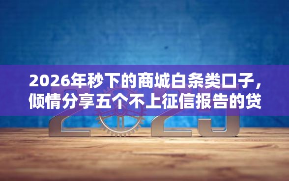 2026年秒下的商城白条类口子，倾情分享五个不上征信报告的贷款口子