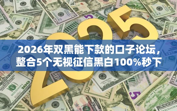2026年双黑能下款的口子论坛，整合5个无视征信黑白100%秒下软件