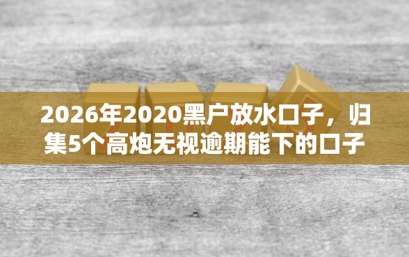 2026年2020黑户放水口子，归集5个高炮无视逾期能下的口子