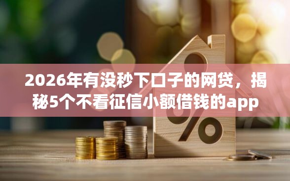 2026年有没秒下口子的网贷，揭秘5个不看征信小额借钱的app