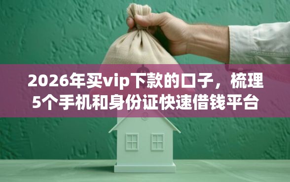 2026年买vip下款的口子，梳理5个手机和身份证快速借钱平台