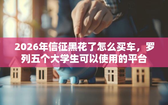 2026年信征黑花了怎么买车，罗列五个大学生可以使用的平台