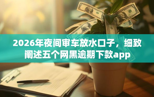 2026年夜间审车放水口子,细致阐述五个网黑逾期下款app 2026年夜间审车放水口子,细致阐述五个网黑逾期下款app