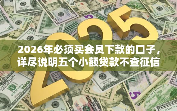 2026年必须买会员下款的口子，详尽说明五个小额贷款不查征信的软件
