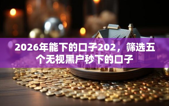 2026年能下的口子202，筛选五个无视黑户秒下的口子