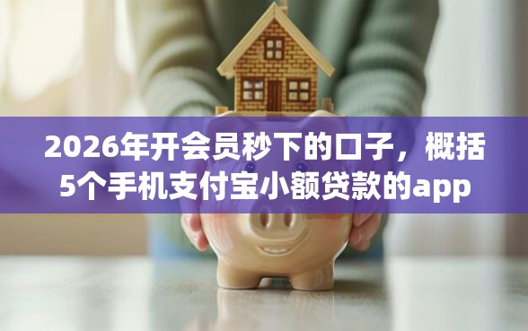 2026年开会员秒下的口子，概括5个手机支付宝小额贷款的app