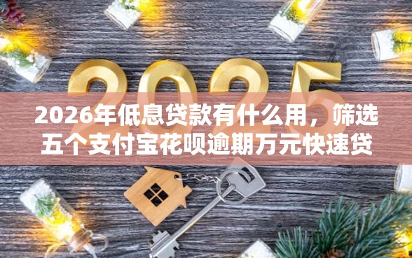 2026年低息贷款有什么用，筛选五个支付宝花呗逾期万元快速贷款平台