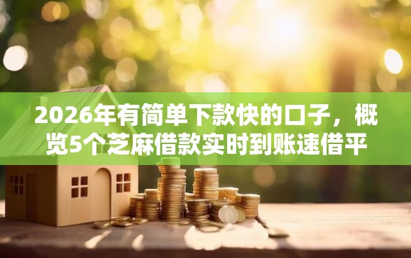 2026年有简单下款快的口子，概览5个芝麻借款实时到账速借平台