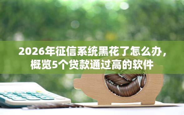 2026年征信系统黑花了怎么办，概览5个贷款通过高的软件