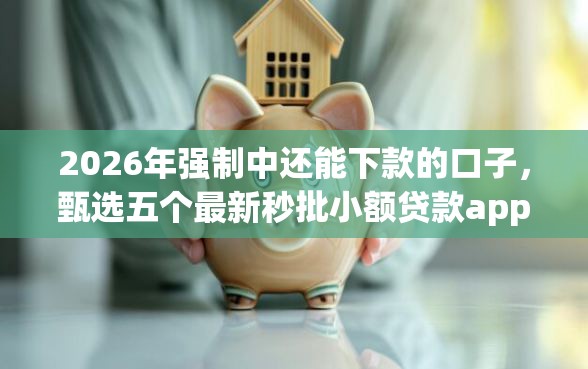 2026年强制中还能下款的口子，甄选五个最新秒批小额贷款app