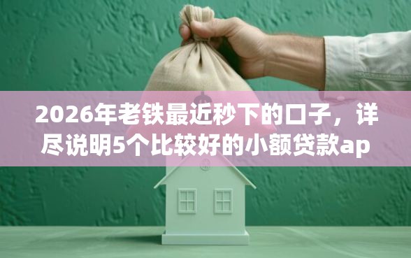 2026年老铁最近秒下的口子，详尽说明5个比较好的小额贷款app