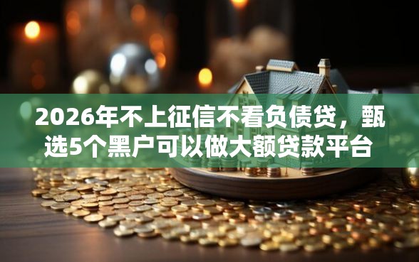 2026年不上征信不看负债贷，甄选5个黑户可以做大额贷款平台