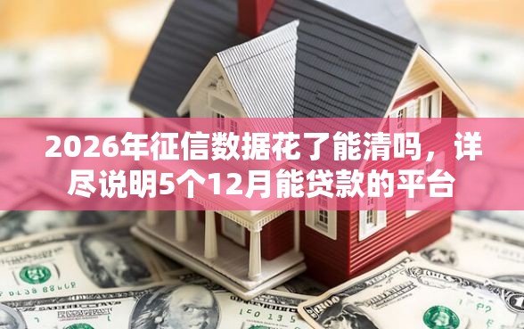 2026年征信数据花了能清吗，详尽说明5个12月能贷款的平台