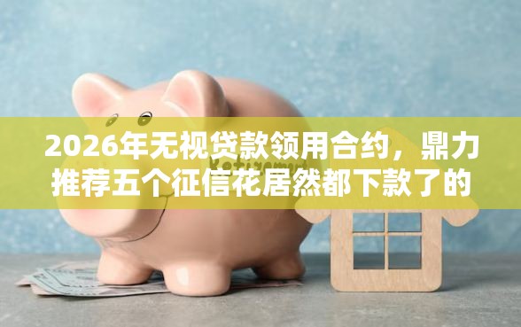 2026年无视贷款领用合约，鼎力推荐五个征信花居然都下款了的平台