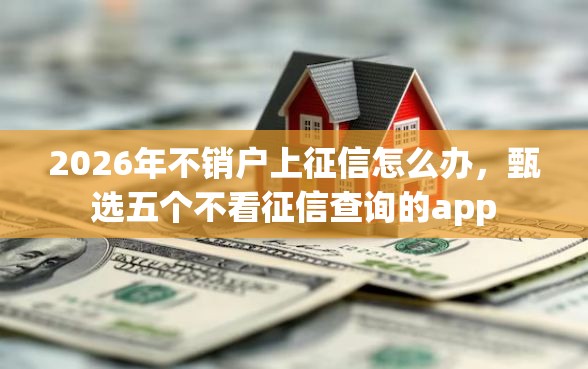 2026年不销户上征信怎么办，甄选五个不看征信查询的app