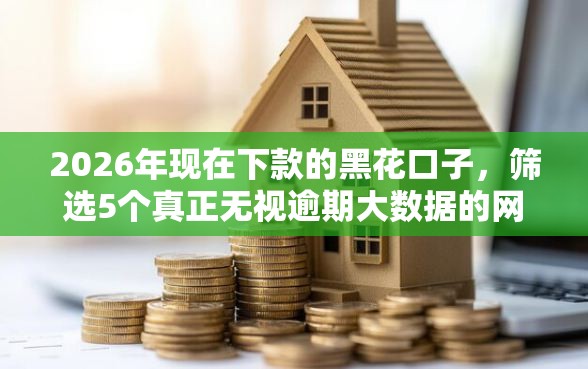 2026年现在下款的黑花口子，筛选5个真正无视逾期大数据的网贷口子