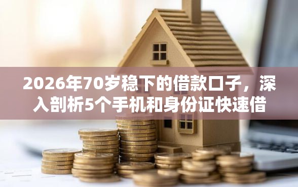 2026年70岁稳下的借款口子,深入剖析5个手机和身份证快速借钱软件 2026年70岁稳下的借款口子,深入剖析5个手机和身份证快速借钱软件